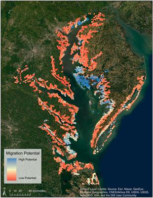 Quantifying Slopes as a Driver of Forest to Marsh Conversion Using Geospatial Techniques: Application to Chesapeake Bay Coastal-Plain, United States